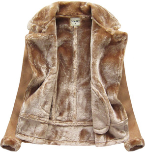 ZAMSZOWA RAMONESKA NA MISIU BRĄZOWA (1808)