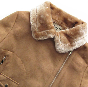 ZAMSZOWA RAMONESKA NA MISIU BRĄZOWA (1808)